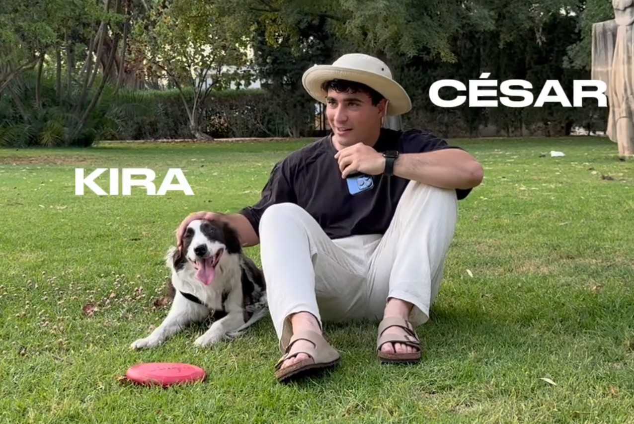 Dueño y su perro paseando al atardecer en un parque, luz cálida de hora dorada